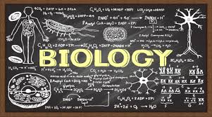 biologi.jpg